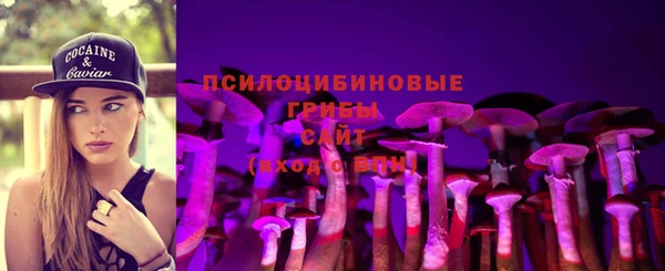 дурь Россошь