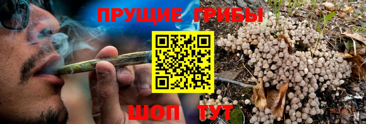 цены наркотик  Вход с VPN  Саяногорск  Псилоцибиновые грибы Magic Shrooms 